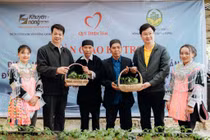 Quỹ Thiện Tâm tặng cây giống cho bà con nghèo.
