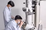 Cần có cơ chế linh hoạt cho phép chuyên gia nước ngoài hướng dẫn độc lập nghiên cứu sinh