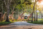 Những hành khách đặc biệt bay chuyên cơ tới Safari giữ kỷ lục kép của Vinpearl giờ ra sao? 