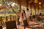 “Thám hiểm” 5 châu trong 1 ngày: Safari Cần Giờ mở ra hành trình khám phá từ bầu trời đến đại dương