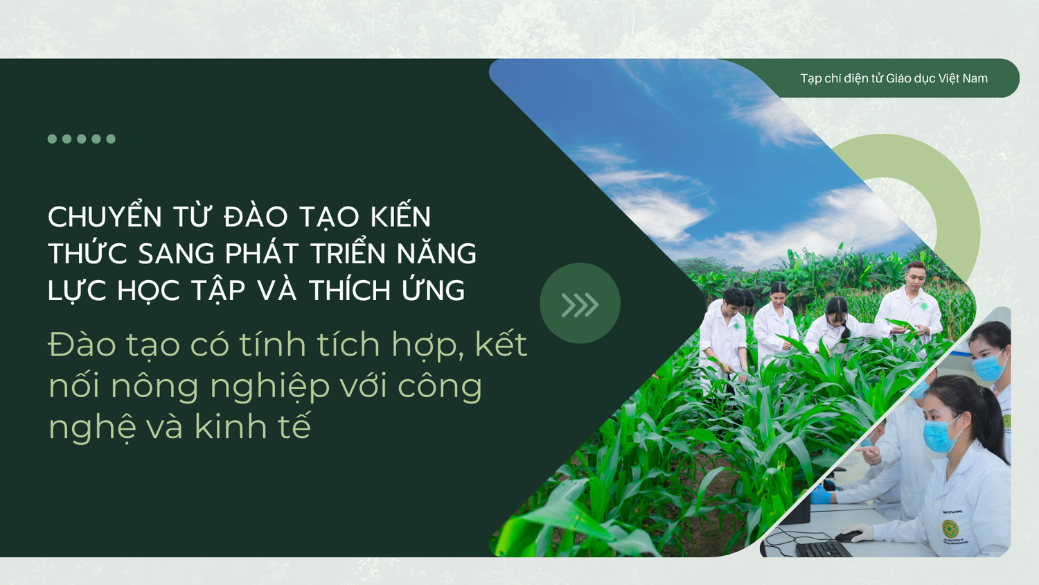 green-modern-hydroponic-farming-innovations-presentation-5.png