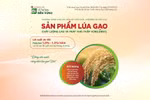 Agribank ưu đãi tín dụng phục vụ Đề án lúa gạo vùng Đồng bằng sông Cửu Long