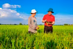 Agribank - Vững thế chủ lực đối với “trụ đỡ” nền kinh tế