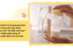 Lactoferrin và bước tiến mới trong dinh dưỡng đề kháng