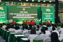 Toàn cảnh Hội nghị. Ảnh: Đào Hiền.