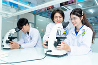 Đại học đa lĩnh vực phải là một thực thể thống nhất, quản trị tập trung