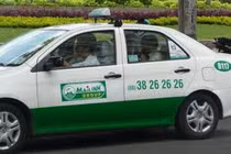 4 xe ôtô hãng Mai Linh chở trái phép động vật hoang dã