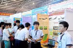 TPHCM đã có kế hoạch thi khoa học kỹ thuật, giáo viên chia sẻ một số kinh nghiệm 
