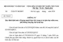 Dự thảo làm rõ vị trí việc làm, định mức nhân sự hỗ trợ giáo dục tạo thuận lợi cho nhà trường