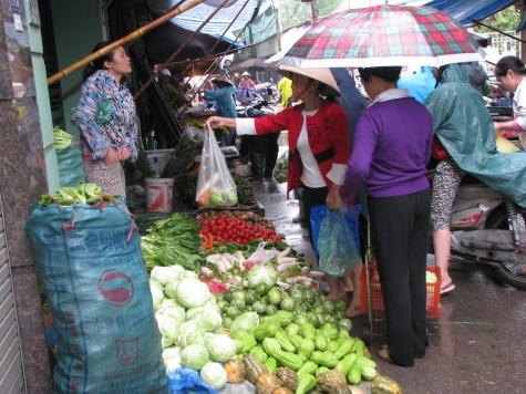 Theo tiểu thương này, lượng rau xanh về chợ 2 ngày qua ít hơn mọi ngày.