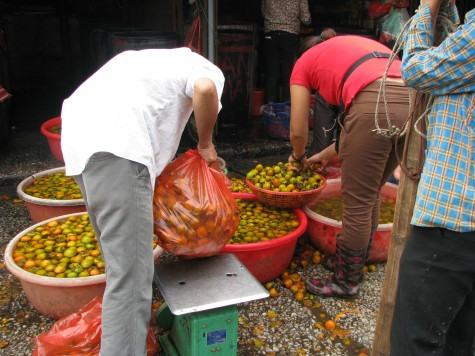 Số lượng quá nhiều khiến các thương lái thờ ơ với trái cây rơi vãi. Số lượng quá nhiều khiến các thương lái thờ ơ với trái cây rơi vãi.