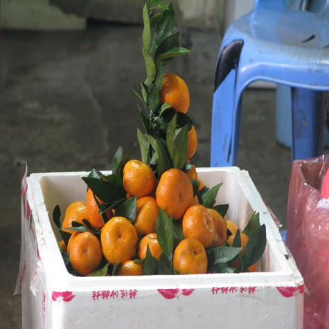 Trong những thùng hàng chằng chịt chữ ngoại, những quả quýt to, nhỏ được bày bán bắt mắt. Trong những thùng hàng chằng chịt chữ ngoại, những quả quýt to, nhỏ được bày bán bắt mắt.