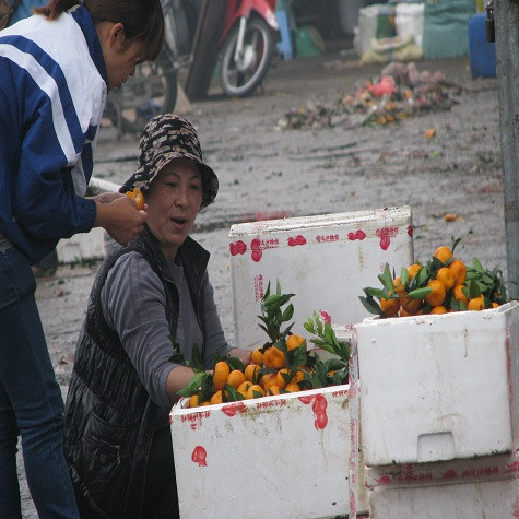 Vui mừng khi bốc được lô hàng quả vẫn căng, bóng,mọng... Vui mừng khi bốc được lô hàng quả vẫn căng, bóng,mọng...