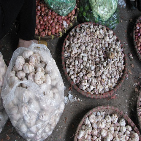 Hành, tỏi ta "kém sắc" hơn nên các thương lái vẫn thích buôn hành tỏi ngoại. Hành, tỏi ta "kém sắc" hơn nên các thương lái vẫn thích buôn hành tỏi ngoại.