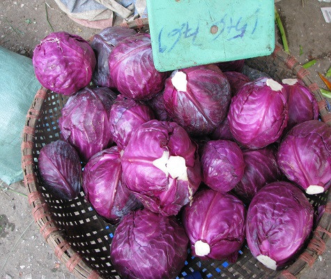 Bắp cải tím này cũng được nhập từ Trung Quốc, loại nhỏ có giá 15.000- 20.000 đồng/kg, loại to giá từ 25.000 - 30.000 đồng, tương đương với giá bắp cải nội.