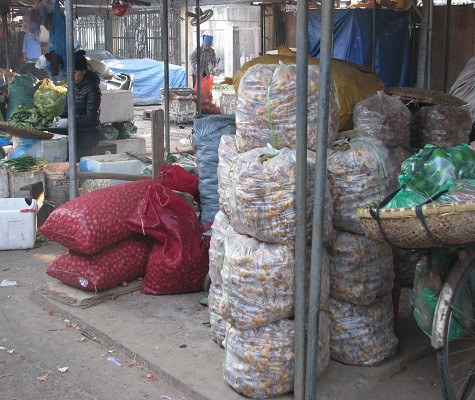 Và sau đó, gừng, nghệ được bọc thành từng túi ni lông chuyển tới tay người tiêu dùng.