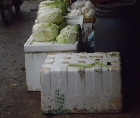 Cải thảo được chuyển ra từ hộp xốp trắng muốt có ướp đá lạnh với chi chít chữ Trung Quốc có giá 14.000đồng/kg