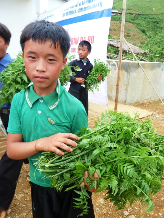 Những đứa trẻ lên 10, lên 12 này hàng ngày vẫn kiếm rau rừng để ăn. Thịt cá, bánh mì là thứ “xa xỉ” đối với chúng. Con đường đến trường của những đứa trẻ này sẽ đi đến đâu khi cuộc sống còn quá nhiều khó khăn, gian nan thế này? Những đứa trẻ lên 10, lên 12 này hàng ngày vẫn kiếm rau rừng để ăn. Thịt cá, bánh mì là thứ “xa xỉ” đối với chúng. Con đường đến trường của những đứa trẻ này sẽ đi đến đâu khi cuộc sống còn quá nhiều khó khăn, gian nan thế này?
