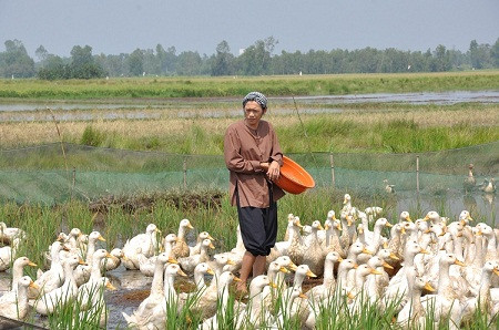Nghệ sỹ Hoài Linh cho thấy tài biến hóa của mình trong bộ phim này Nghệ sỹ Hoài Linh cho thấy tài biến hóa của mình trong bộ phim này