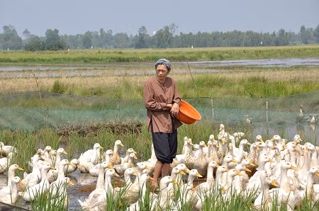 Nghệ sỹ Hoài Linh cho thấy tài biến hóa của mình trong bộ phim này
