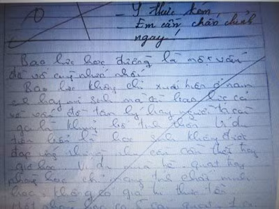 Bài văn lạ gây xôn xao cư dân mạng.