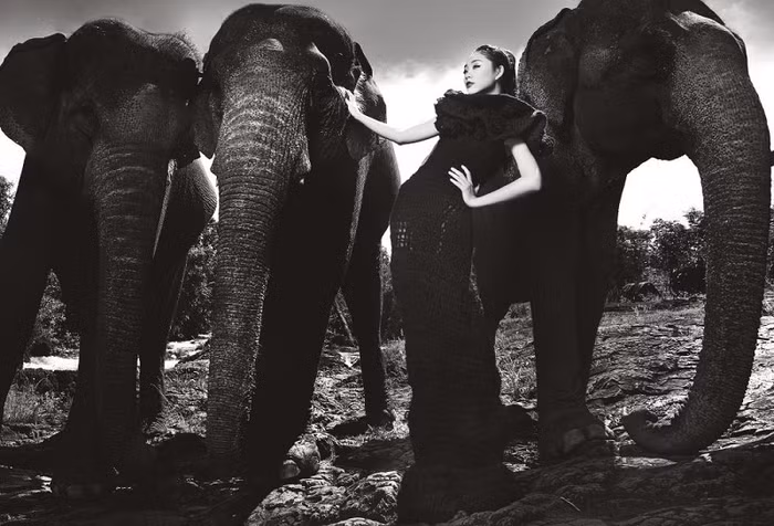 Trà My tuần này được đánh giá rất tốt khi cô hoàn toàn mất đi vẻ xì – tin trước đây mà thực sự trở thành một người phụ nữ quyến rũ và trang nhã. Sau những nổ lực không ngừng nghỉ suốt 10 tuần trải nghiệm, bức ảnh của cô cũng được toàn bộ ban giám khảo đánh giá là bức ảnh đẹp nhất.