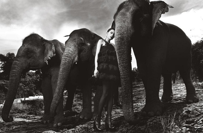 Riêng Phương Anh, cô gái thông minh của Vietnam’s Next Top Model bắt đầu có sự đuối sức khi quá tập trung vào việc suy nghĩ mình phải làm gì trong mỗi tấm ảnh.