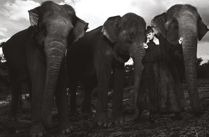 Thùy Trang cũng có bức ảnh ưng ý và đi tiếp tập sau