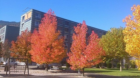 Khách sạn 4 sao Vatel - Trường Vatel tại Thụy Sĩ sở hữu riêng khách sạn 4 sao để dùng vào mục đích đào tạo cho sinh viên trong trường Khách sạn 4 sao Vatel - Trường Vatel tại Thụy Sĩ sở hữu riêng khách sạn 4 sao để dùng vào mục đích đào tạo cho sinh viên trong trường