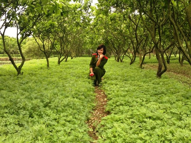Sự khó khăn và vất vả, nhất là với những giờ thao luyện võ thuật nhưng vì có bản lĩnh và ý chí quyết tâm đã không cho phép các chiến sỹ tương lai chùn bước. >>Vẻ đẹp xuân thì của Á khôi Hoàng Anh Thư >>Chùm anh: Ngắm áo dài nữ sinh qua thời gian >>Hoa khôi các trường Đại học, Cao đẳng