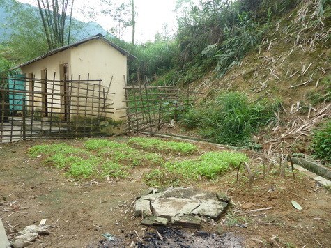 Vườn rau tự trồng sau khu nội trú dân nuôi của Trường THCS Cát Thịnh.