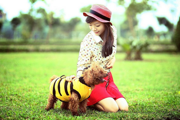 Cùng điểm qua thành tích học tập của cô nàng này nhé! Cùng điểm qua thành tích học tập của cô nàng này nhé!