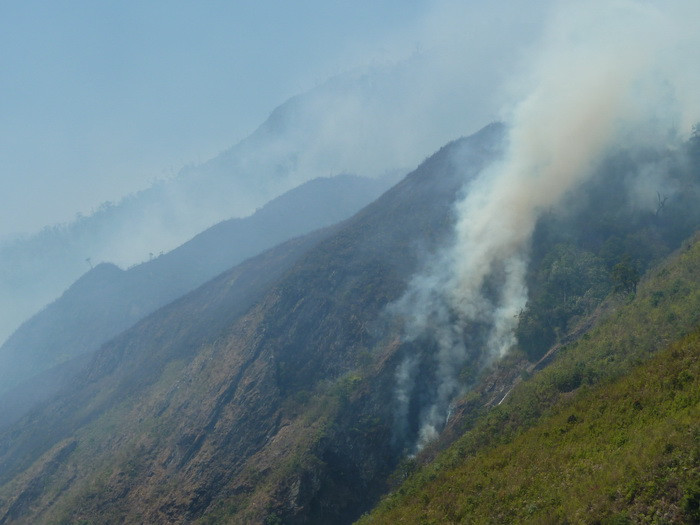Đám cháy bắt nguồn từ rừng lau lách thuộc tỉnh Sơn La cháy lan sang rừng tự nhiên thuộc xã Xà Hồ, huyện Trạm Tấu, tỉnh Yên Bái và được người dân phát hiện từ chiều thứ 6 ngày 24/2. Nguyên nhân của đám cháy được xác định do dân bản hàng năm có phong tục đốt cỏ để chăn thả gia súc.