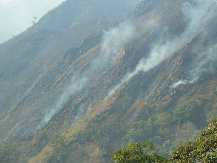Sau hơn hai ngày nỗ lực của tất cả các lực lượng, thì đến sáng ngày 26/2 đám cháy đã được dập tắt hoàn toàn. Theo ông Cường, Phó Chủ tịch huyện Trạm Tấu thì người dân vẫn được tuyên truyền về nguy cơ cháy rừng, tuy nhiên người dân bản vẫn theo tập tục mà đốt cỏ để chăn nuôi gia súc.