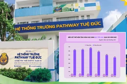 Năm học 2025-2026, số lượng học sinh của TH, THCS, THPT Tuệ Đức có xu hướng giảm 