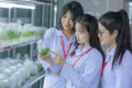 Theo học Công nghệ sinh học tại HPU2, sinh viên được lựa chọn 4 hướng ứng dụng chuyên sâu