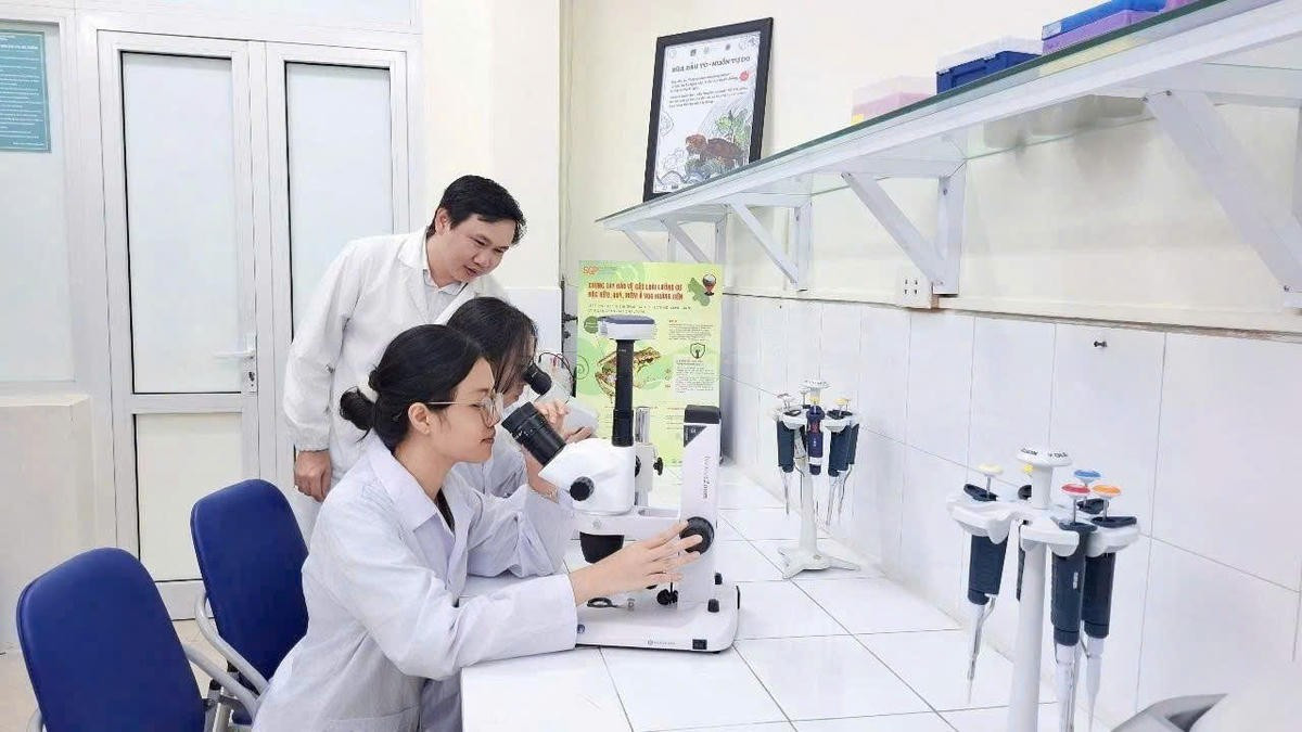 Ảnh minh hoạ: Nghiên cứu khoa học ở Trường Đại học Khoa học Tự nhiên, Đại học Quốc gia Hà Nội.