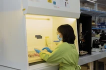 Từ phòng thí nghiệm đến học bổng DAAD ở Đức của cô gái đam mê nghiên cứu khoa học