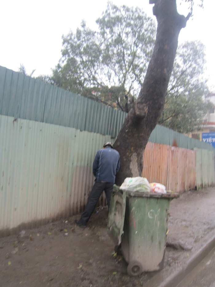 Người đàn ông này chỉ cần quay vào gốc cây bên đường là có thể giải quyết nỗi buồn (ảnh chụp tại đường Khuất Duy Tiến)