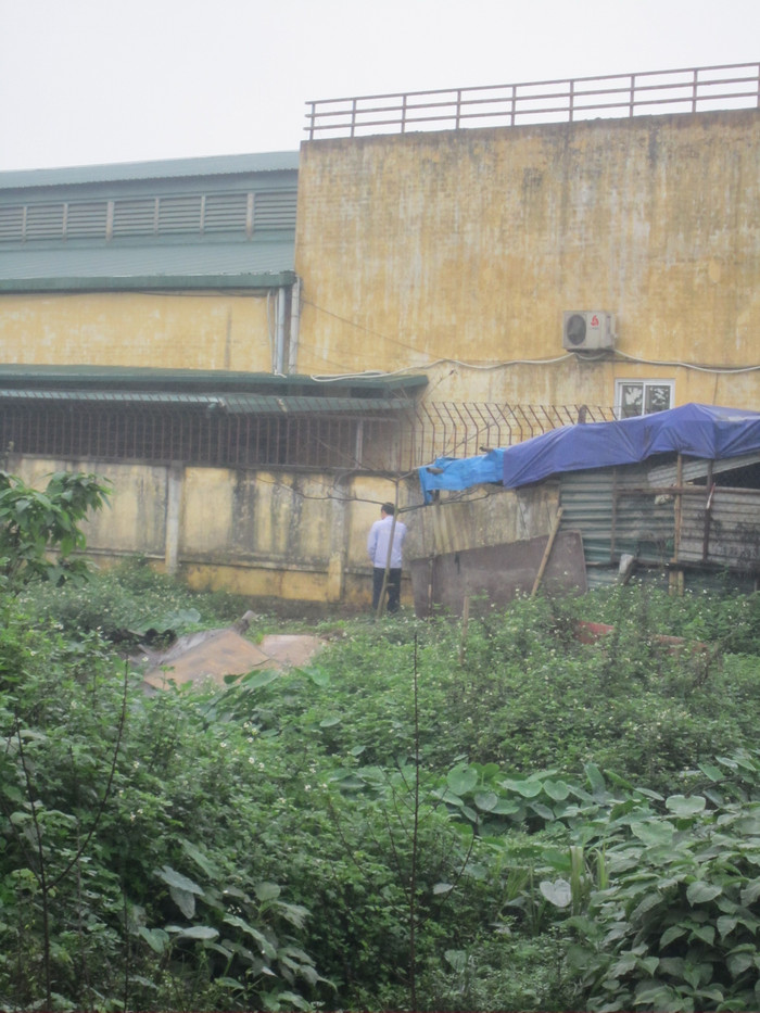 Bức tường, gốc cây đều biến thành những &apos; nhà vệ sinh lộ thiên&apos;