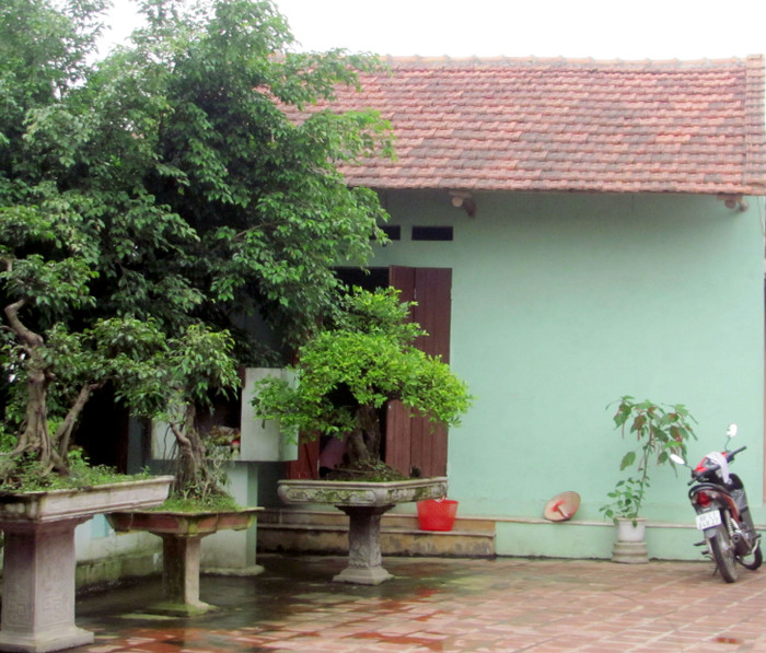 Căn phòng màu xanh là điện, nơi mà An xem cho khách Căn phòng màu xanh là điện, nơi mà An xem cho khách