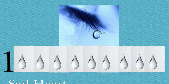 Đáp án: Tỷ lệ.