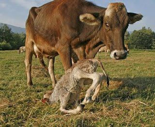 Đáp án: Bê tông.