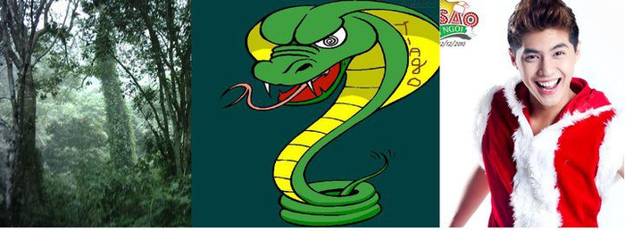 Đáp án: Rừng xà nu.