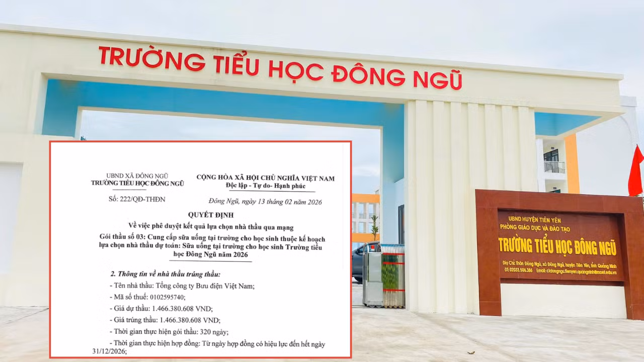 dau-thau-10.png