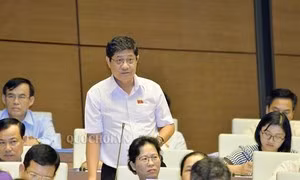 Triết lý giáo dục phải vì sự phát triển con người ảnh 4