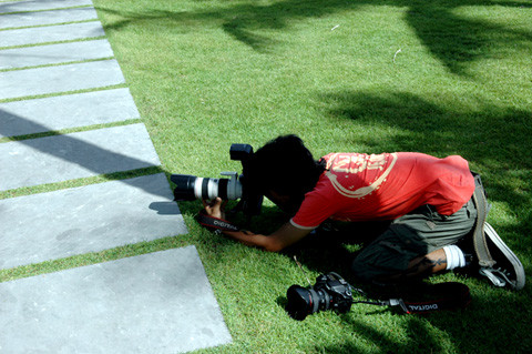 Hết nằm bò... Ảnh: Internet. Hết nằm bò... Ảnh: Internet.