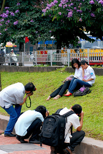 Ảnh: Internet. Ảnh: Internet.