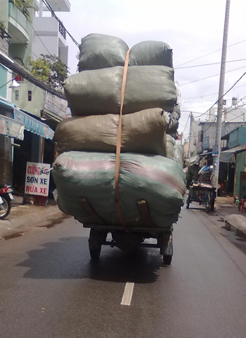 Chụp tại quận Bình Tân, TP.HCM. Ảnh: Lam Quang Thai.