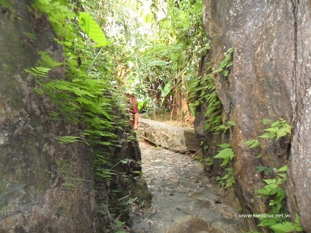 Một người làm công của ông Đức cho biết, để có lối đi và đào được một hệ thống hang động chằng chịt, ông Đức đã thuê 30 người đục đẽo đá trong vòng 3 năm. Một người làm công của ông Đức cho biết, để có lối đi và đào được một hệ thống hang động chằng chịt, ông Đức đã thuê 30 người đục đẽo đá trong vòng 3 năm.